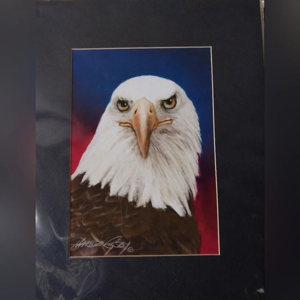 Bald Eagle print - Picture 11 of 15
